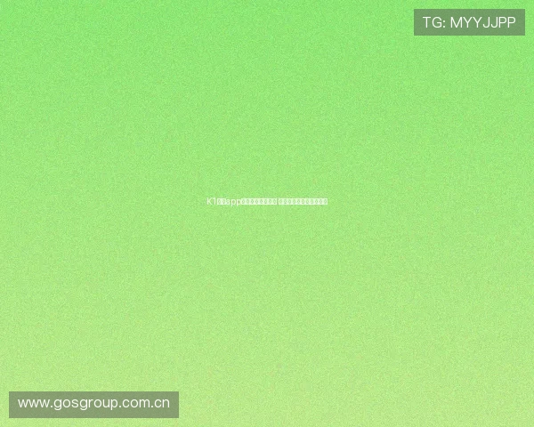 K1体育app官网入口全面解析 最新版本下载与使用指南